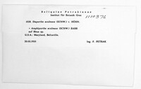 Synnemasporella aculeans image